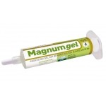 Magnum Gel Ameisen IGR 40g